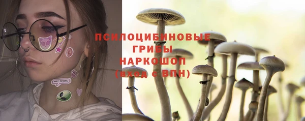 винт Бугульма