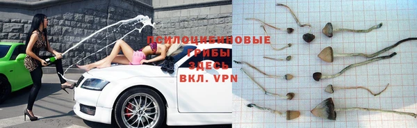 соль курить ск Бородино