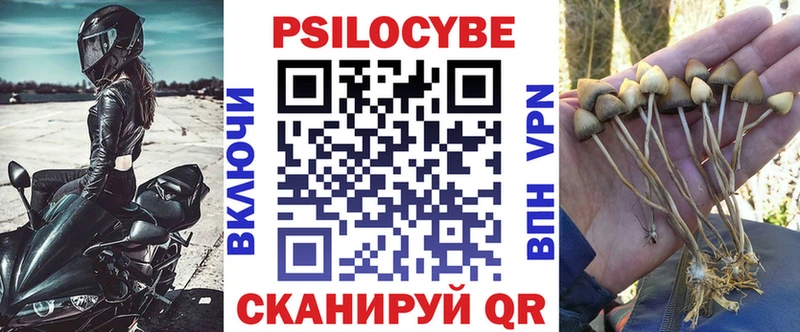 Галлюциногенные грибы мицелий  Калининец 